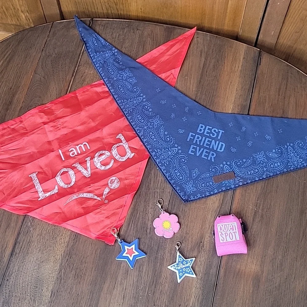 Pet BEST FRIEND FOREVER Bandana Scarf Collar Charm Bundle